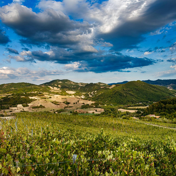 La terra della Tenuta della Cascinassa